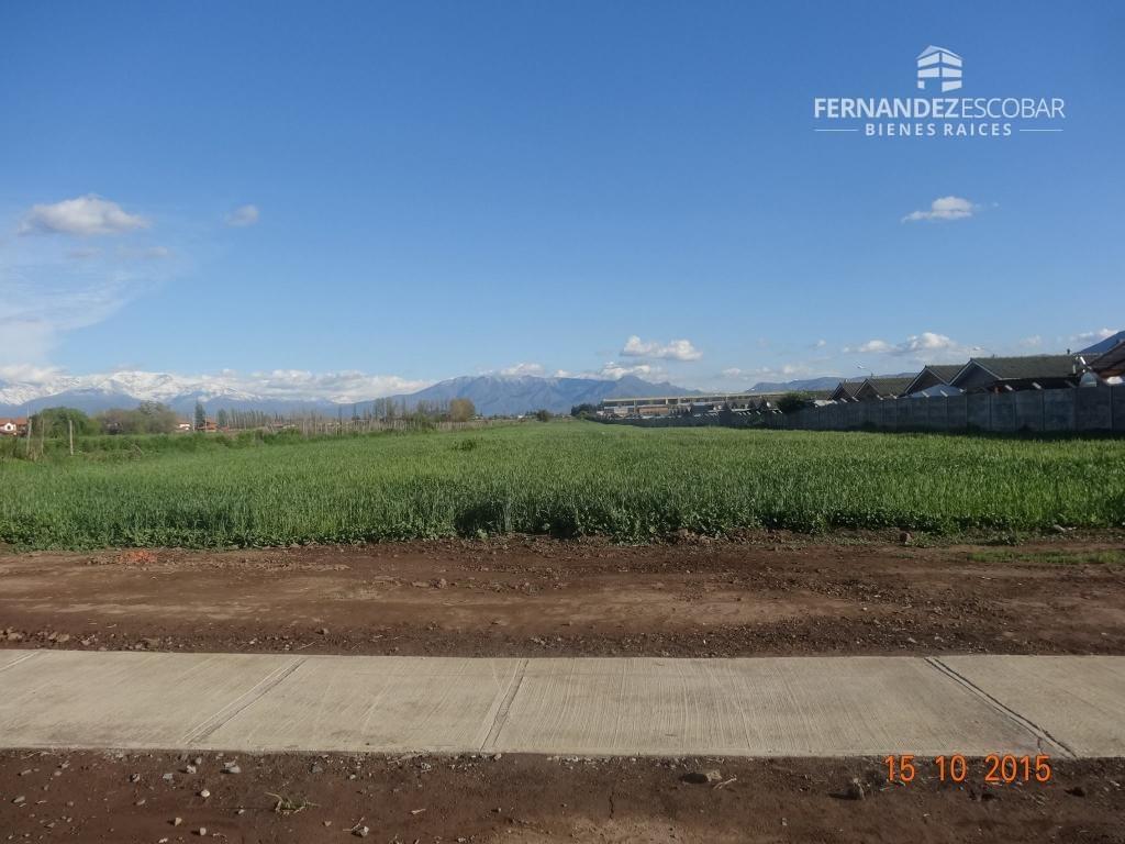 SAN FELIPE - VENTA TERRENO URBANO 1,9 HA. LA TROYA