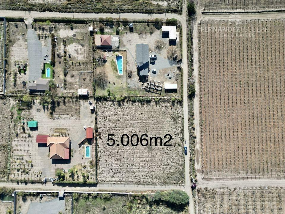 SAN FELIPE - VENDE TERRENO 5.006M2 - BUCALEMU